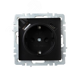 BRITE Розетка с заземлением с защитными шторками 16А с USB A+C 18Вт РЮш11-1-БрЧ черный - фото 2
