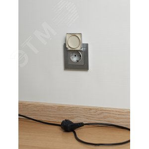 BRITE Розетка с заземлением с защитными шторками и крышкой 16А IP20 РСбш10-3-БрА алюминий - фото 4