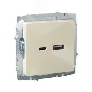 BRITE Розетка USB A+C 18Вт РЮ11-1-БрКр бежевый - фото 6