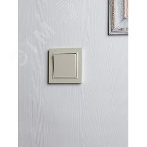 BRITE Выключатель одноклавишный перекрестный 10А ВС10-1-3-БрКр бежевый - фото 7