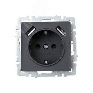 BRITE Розетка с заземлением с защитными шторками 16А с USB A+A 2,1А РЮш10-1-БрГ графит - фото 2