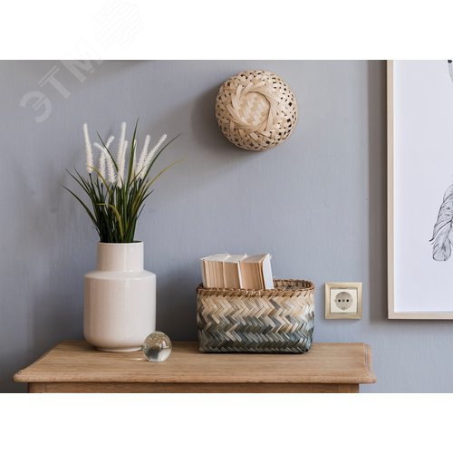 Розетка 1-местная с заземлением без защитных шторок 16А слоновая кость VALENA - фото 2