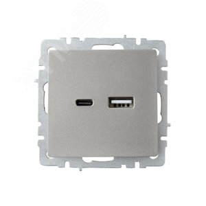 BRITE Розетка USB A+C 18Вт РЮ11-1-БрС сталь - фото 2