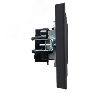 BRITE Розетка 1 пост без заземления без защитных шторок 10А в сборе РСР10-1-0-БрГ графит IEK - фото 3