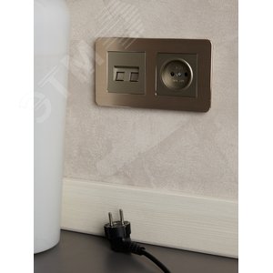 BRITE Розетка 1 пост без заземления с защитными шторками 10А РСш10-2-БрШ шампань IEK - фото 7