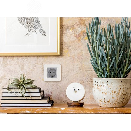 Розетка 1-местная с заземлением без защитных шторок 16А алюминий INSPIRIA - фото 2