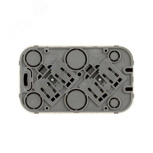 Розетка 2-местная для открытой установки с заземлением без защитных шторок с предварительным подключением 16А слоновая кость QUTEO - фото 3