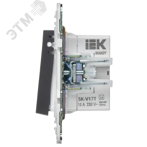 SKANDY Кнопка звонка с индикацией для отелей 10А SK-V17T титан IEK - фото 4