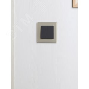 BRITE Рамка 1 пост РУ-1-2-БрД стекло дымчатый - фото 6