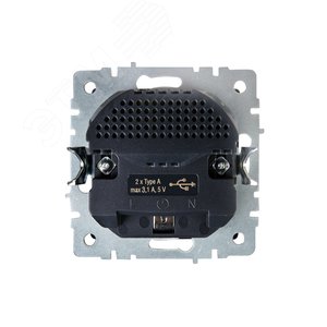 BRITE Розетка с заземлением с защитными шторками 16А с USB A+A 3,1А РЮш10-2-БрШ шампань - фото 4