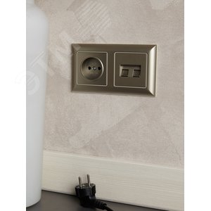 BRITE Розетка без заземления без защитных шторок 10А РС10-1-0-БрШ шампань - фото 7