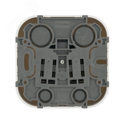 Розетка 1-местная для открытой установки с заземлением с защитными шторками 16Абелый QUTEO - фото 2
