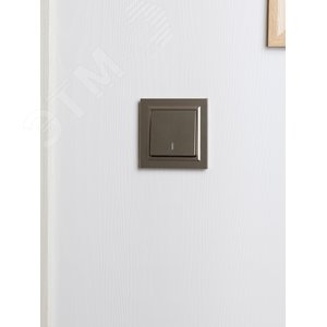 BRITE Рамка 1 пост IP44 РУ-1-БрШ-44 шампань - фото 6