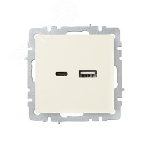 BRITE Розетка USB A+C 18Вт РЮ11-1-БрКр бежевый - фото 2