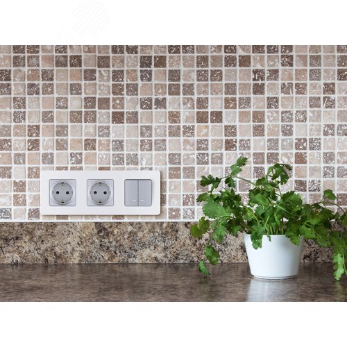 Розетка 1-местная с заземлением без защитных шторок 16А алюминий INSPIRIA - фото 4