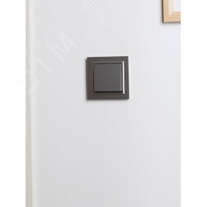 BRITE Рамка 1 пост IP44 РУ-1-БрС-44 сталь - фото 6