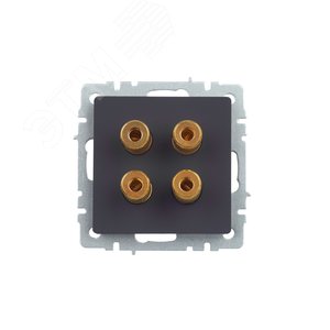 BRITE Аудиорозетка 4 поста РА10-БрГ графит - фото 2