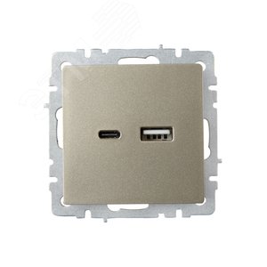 BRITE Розетка USB A+C 18Вт РЮ11-1-БрШ шампань - фото 2