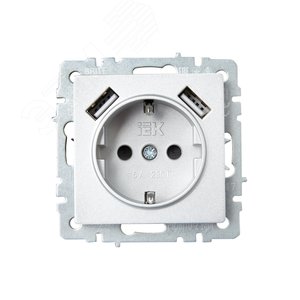BRITE Розетка с заземлением с защитными шторками 16А с USB A+A 3,1А РЮш10-2-БрА алюминий - фото 2