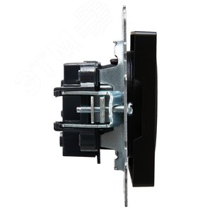 BRITE Розетка без заземления без защитных шторок 10А РС10-1-0-БрЧ черный - фото 3