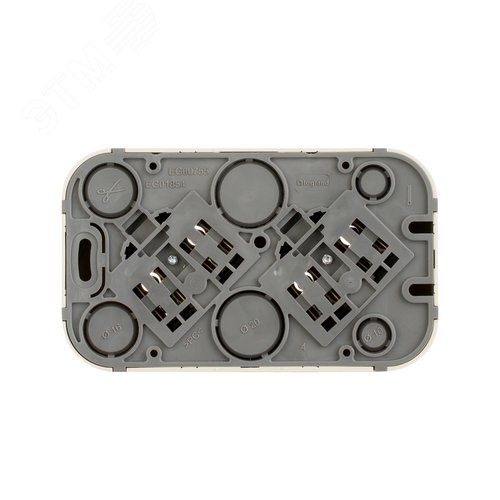 Розетка 2-местная для открытой установки без заземления без защитных шторок с предварительным подключением 16А слоновая кость QUTEO - фото 3