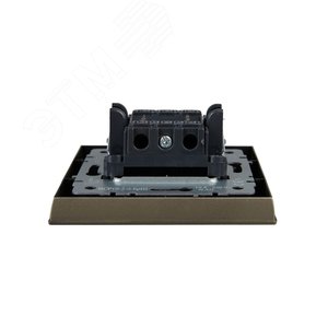 BRITE Выключатель двухклавишный 10А в сборе ВСР10-2-0-БрШ шампань IEK - фото 4