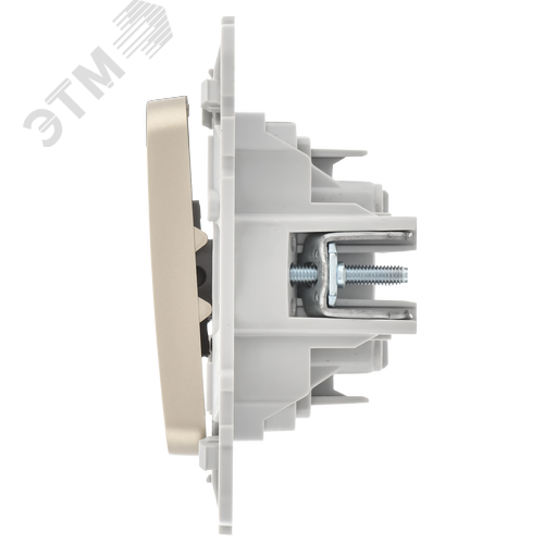 FLITE Выключатель 2-клавишный 10А ВС12-1-0-ФлШ шампань IEK - фото 4