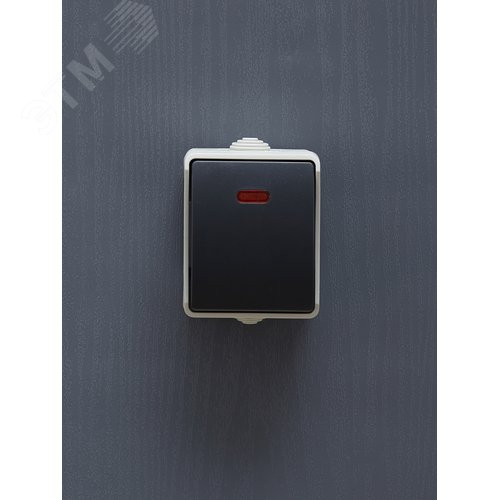 Выключатель 1-клавишный проходной с индикацией дляоткрытой установки 10А IP54 ВС20-1-1-ФСр серый IEKFORS - фото 3