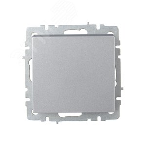 BRITE Выключатель одноклавишный 10А ВС10-1-0-БрА алюминий - фото 2