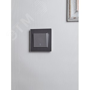 BRITE Выключатель одноклавишный проходной с индикацией 10А ВС10-1-7-БрА алюминий IEK - фото 6