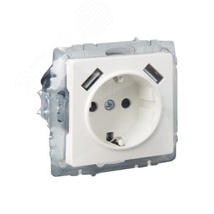 BRITE Розетка с заземлением с защитными шторками 16А с USB A+A 2,1А РЮш10-1-БрЖ жемчуг - фото 6