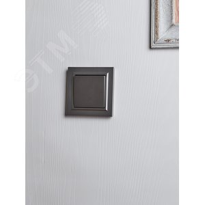 BRITE Выключатель одноклавишный 10А в сборе ВСР10-1-0-БрС сталь IEK - фото 6