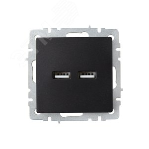 BRITE Розетка USB A+A 3.1А РЮ10-1-БрЧ черный - фото 2