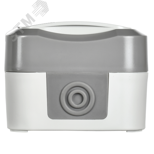 TORS Розетка 1-местная с заземлением защитными шторками и крышкой с иконкой самокат 16А IP55 TS321 серо-белый IEK - фото 4