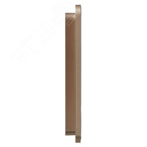 BRITE Рамка 2 поста РУ-2-1-Бр металл шампань RE AL IEK - фото 4