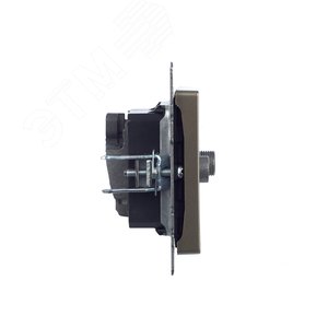 BRITE Розетка двойная TV+SAT РТВ/РСп12-БрШ шампань - фото 3