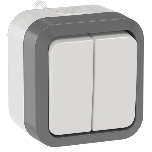 Изображение товара TORS Выключатель двухклавишный проходной 10А IP55 TS225 сер-бел IEK (шт)