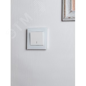 BRITE Выключатель одноклавишный проходной с индикацией 10А ВС10-1-7-БрБ белый IEK - фото 6