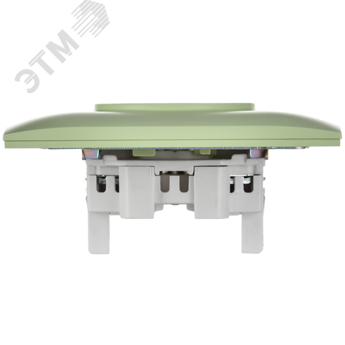 SKANDY Розетка 2-местная без заземления с защитными шторками 10А в сборе SK-R09G мятный IEK - фото 3