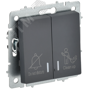 BRITE Выключатель 2-клавишный с индикацией для отелей 10А ВС10-2-9-БрГ графит IEK - фото 1