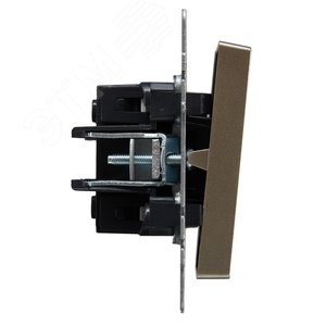 BRITE Выключатель двухклавишный с индикацией 10А ВС10-2-1-БрШ шампань - фото 3