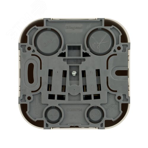 Розетка 1-местная для открытой установки с заземлением с защитными шторками 16Аслоновая кость QUTEO - фото 3