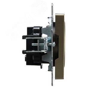 BRITE Розетка без заземления без защитных шторок 10А РС10-1-0-БрШ шампань - фото 3