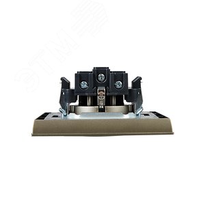 BRITE Розетка 1 пост с заземлением с защитными шторками 16А в сборе РСР14-1-0-БрШ шампань IEK - фото 5