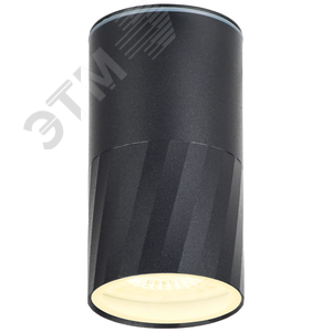 Светильник уличный декоративный для наружного освещения 5222 потолочный GU10 IP65 черный - фото 2