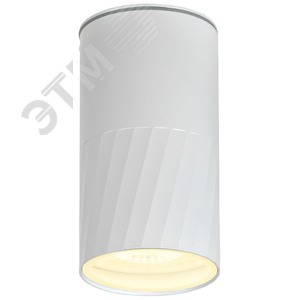 Светильник уличный декоративный для наружного освещения 5222 потолочный GU10 IP65 белый - фото 2