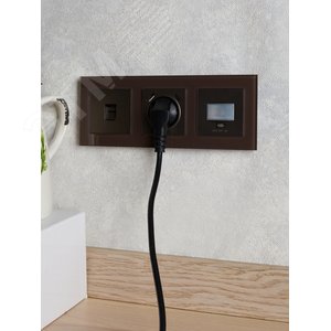 BRITE Розетка с заземлением с защитными шторками 16А с USB A+C 18Вт РЮш11-1-БрТБ бронза - фото 8