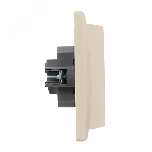 Розетка 2местная с заземлением с защитными шторками 16А в сборе слоновая кость ETIKA - фото 3