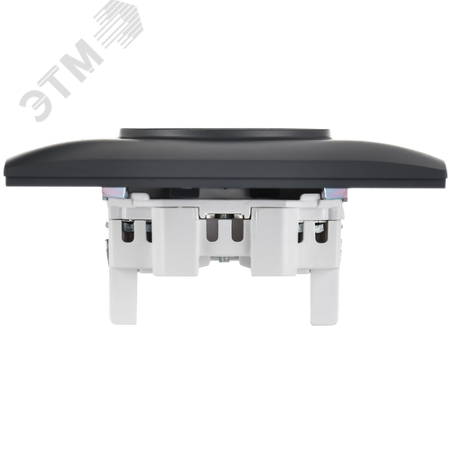 SKANDY Розетка 2-местная без заземления без защитных шторок 10А в сборе SK-R10T титан IEK - фото 3