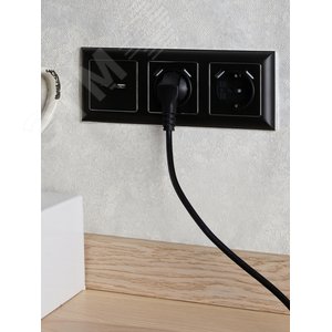 BRITE Розетка с заземлением с защитными шторками 16А с USB A+A 2,1А РЮш10-1-БрЧ черный - фото 8